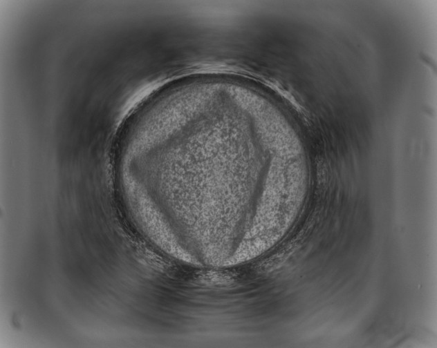 X0000097001311200802291137