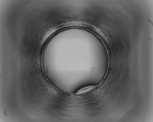 X0000097001312200802291137