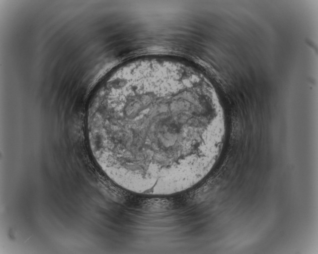 X0000097001314200802291137