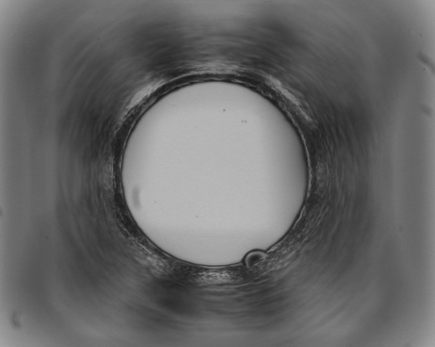 X0000097001315200802291137