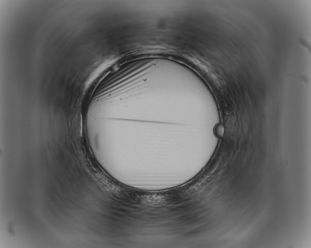 X0000097001317200802291137