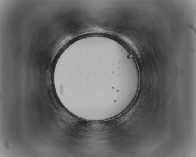 X0000097001318200802291137