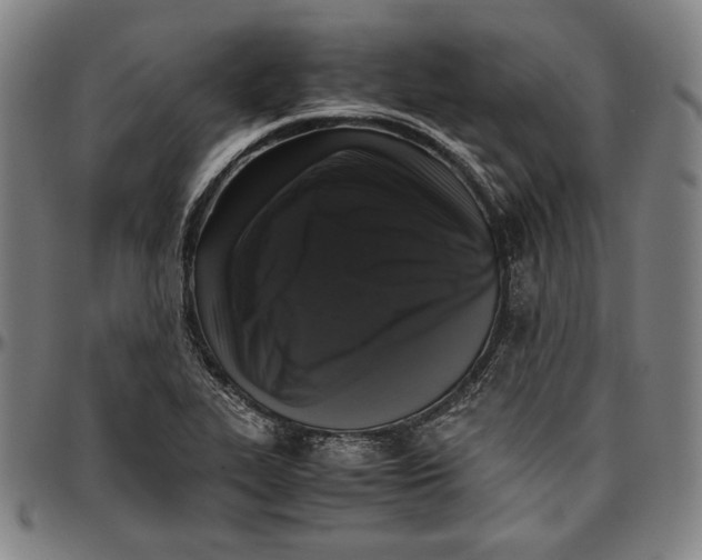 X0000097001319200802291137