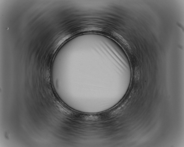 X0000097001321200802291137