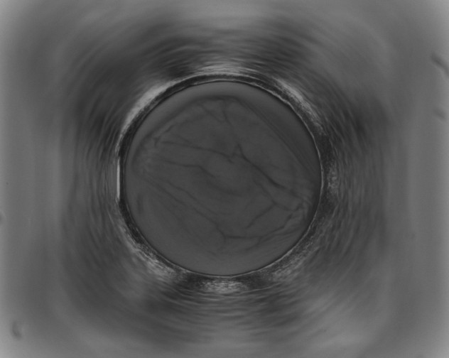 X0000097001323200802291137