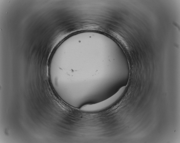 X0000097001324200802291137