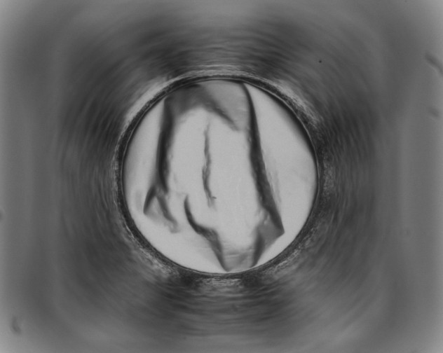 X0000097001325200802291137