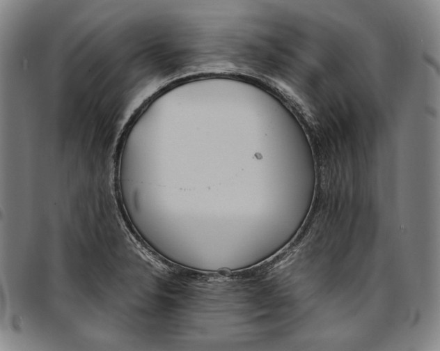 X0000097001326200802291137