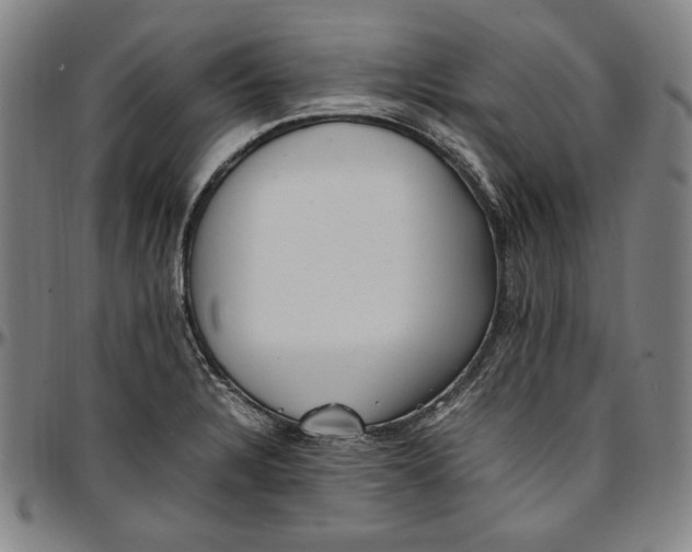 X0000097001328200802291137