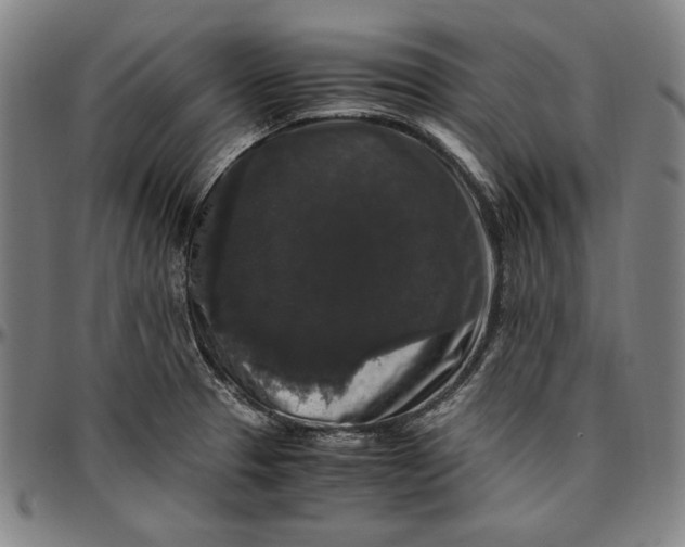 X0000097001329200802291138