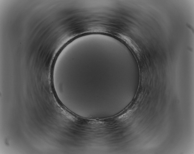 X0000097001331200802291138