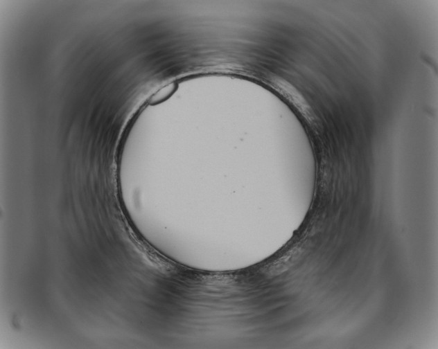 X0000097001332200802291138