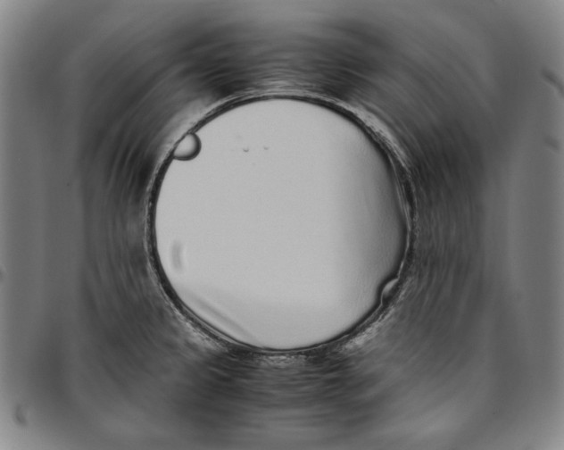 X0000097001333200802291138