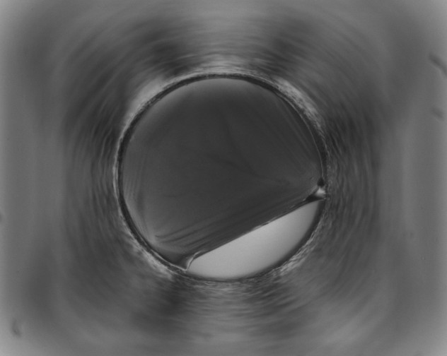 X0000097001334200802291138