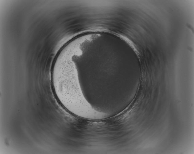 X0000097001335200802291138