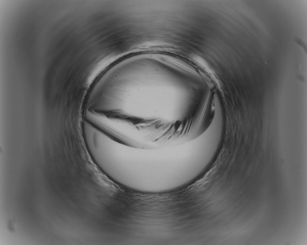 X0000097001336200802291138