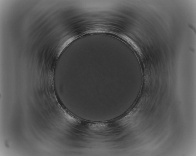 X0000097001337200802291138