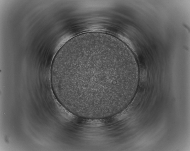 X0000097001338200802291138