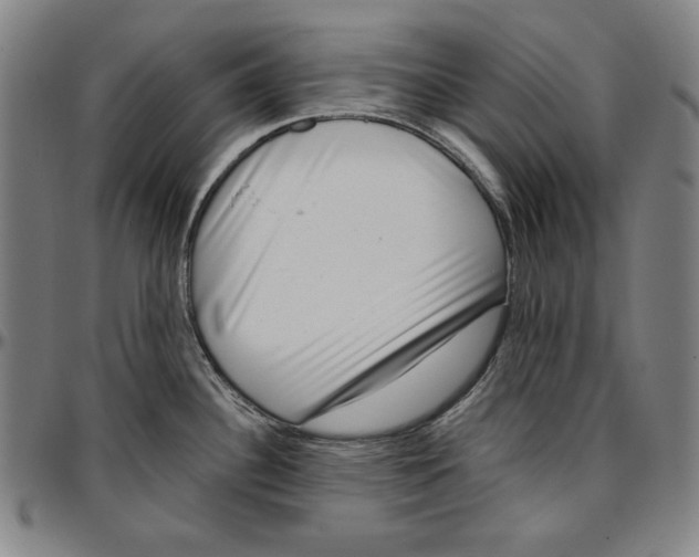 X0000097001340200802291138