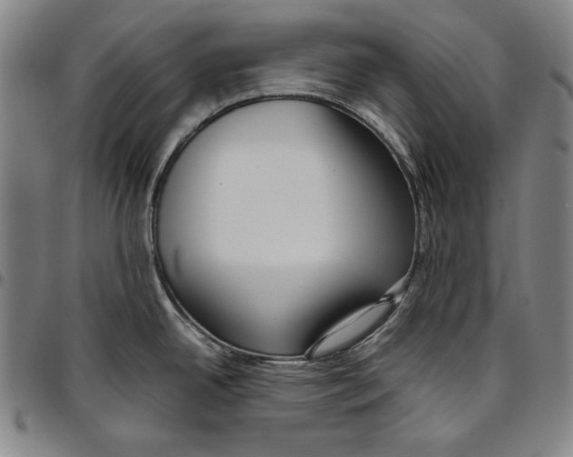 X0000097001342200802291138