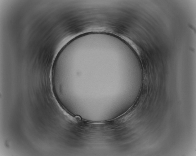 X0000097001343200802291138