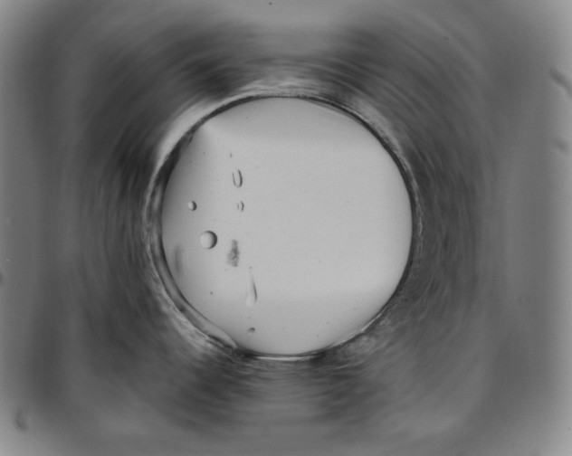 X0000097001344200802291138