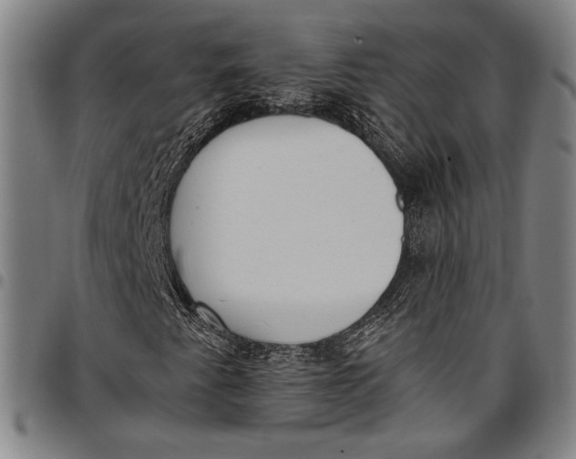 X0000097001345200802291137