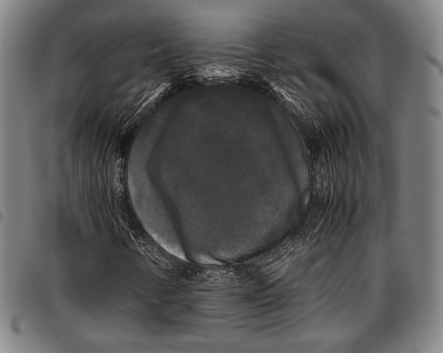 X0000097001346200802291137