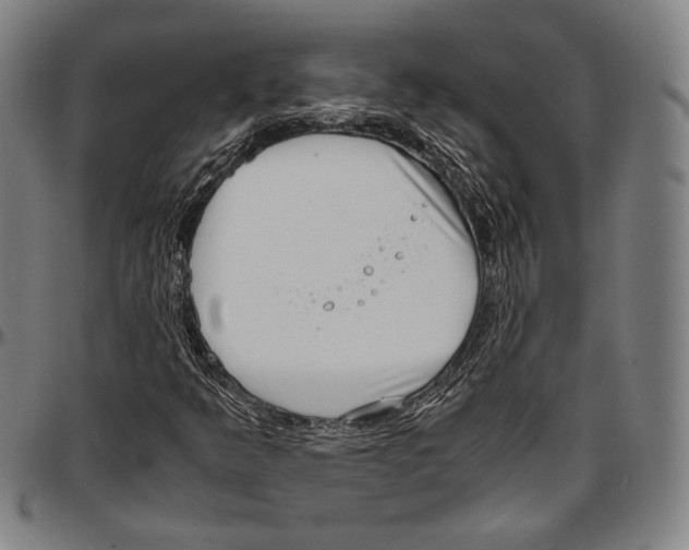 X0000097001349200802291137