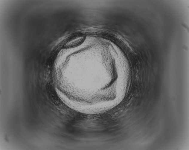 X0000097001350200802291137