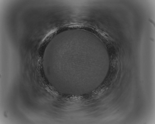 X0000097001351200802291137