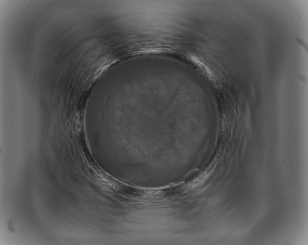 X0000097001353200802291137