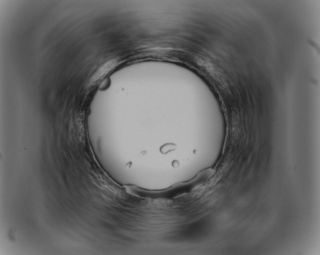 X0000097001354200802291137