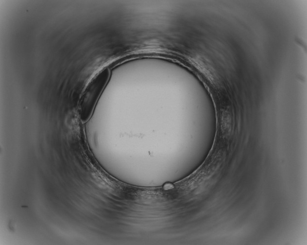 X0000097001356200802291137