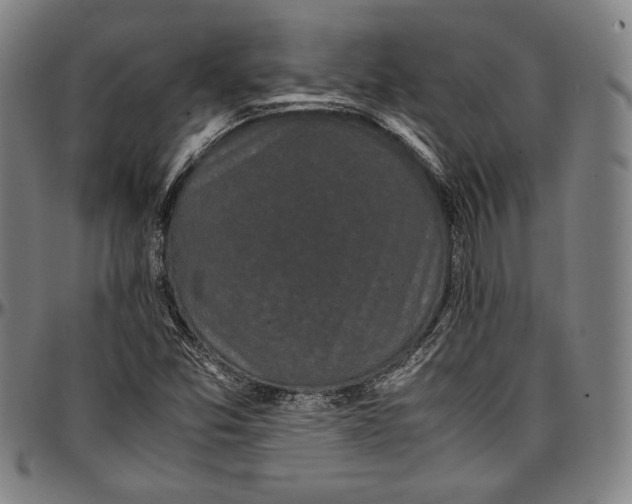 X0000097001357200802291137