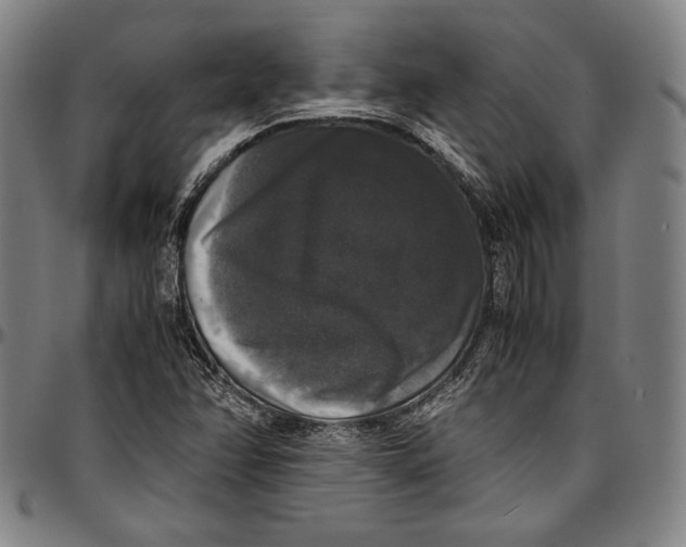 X0000097001358200802291137