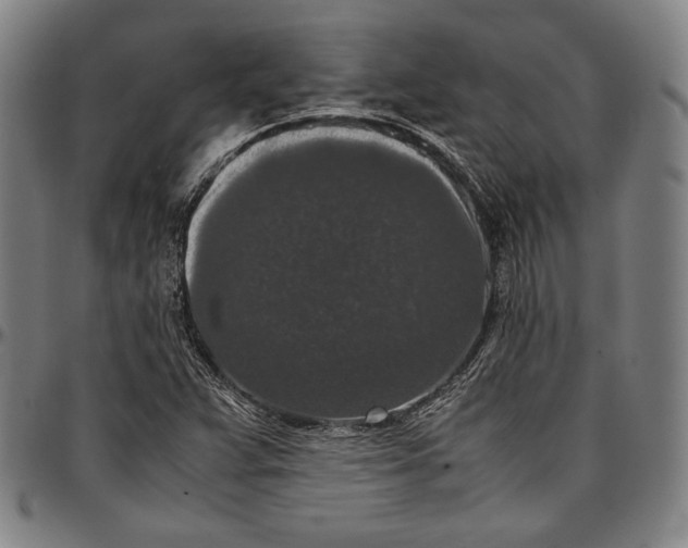 X0000097001359200802291137