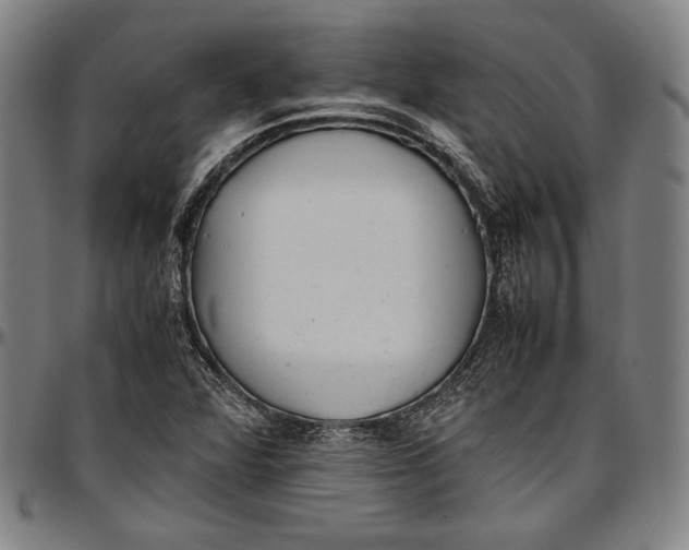 X0000097001360200802291137