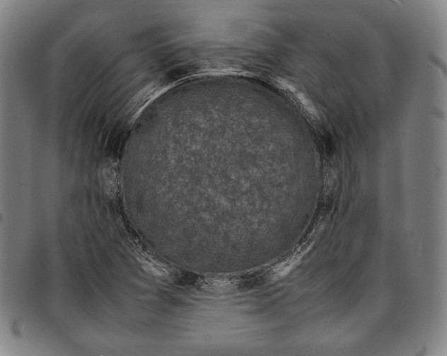 X0000097001361200802291137