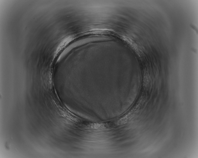 X0000097001362200802291137