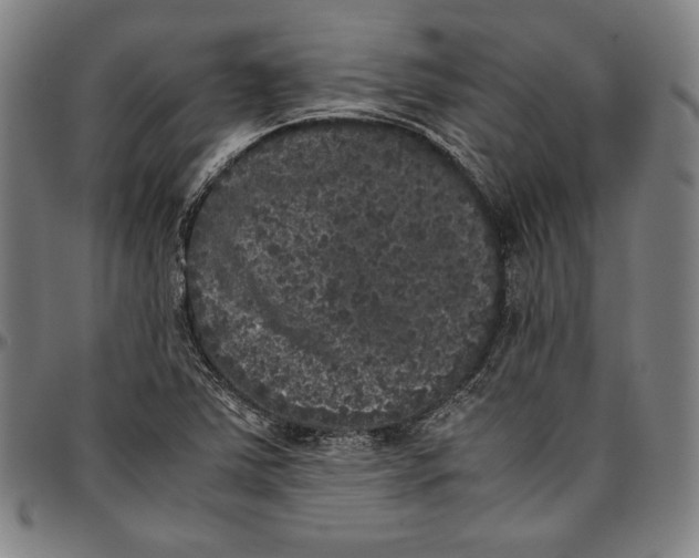 X0000097001363200802291137