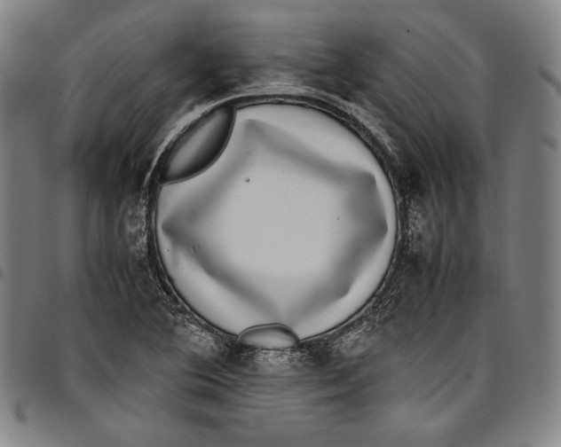 X0000097001364200802291137