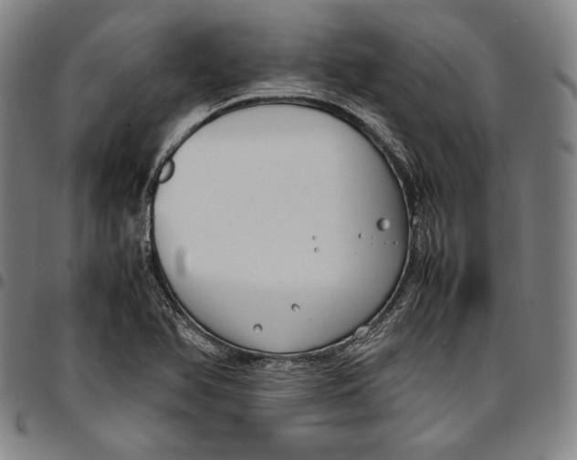 X0000097001366200802291137