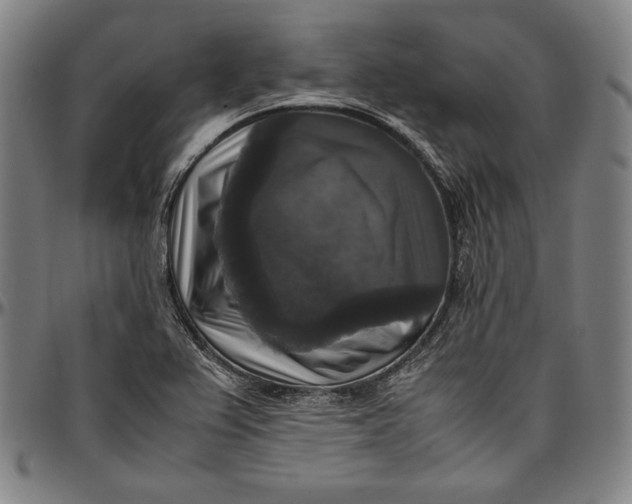 X0000097001367200802291137