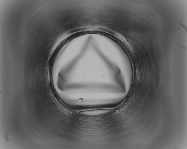 X0000097001368200802291137