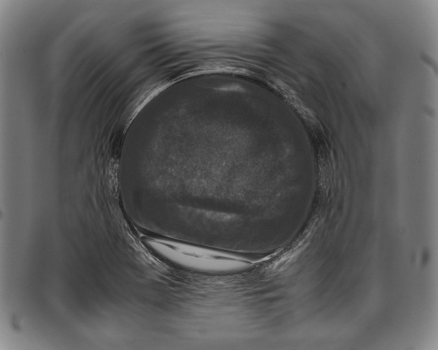 X0000097001369200802291137