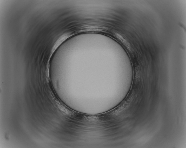 X0000097001370200802291137