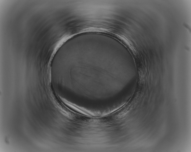 X0000097001371200802291137