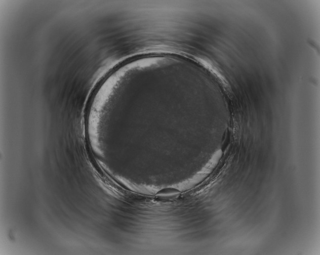 X0000097001372200802291137