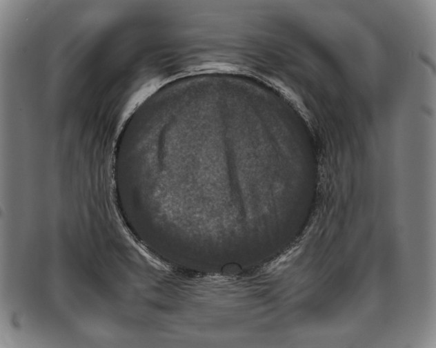 X0000097001373200802291137